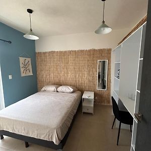 Habitación con Cama King